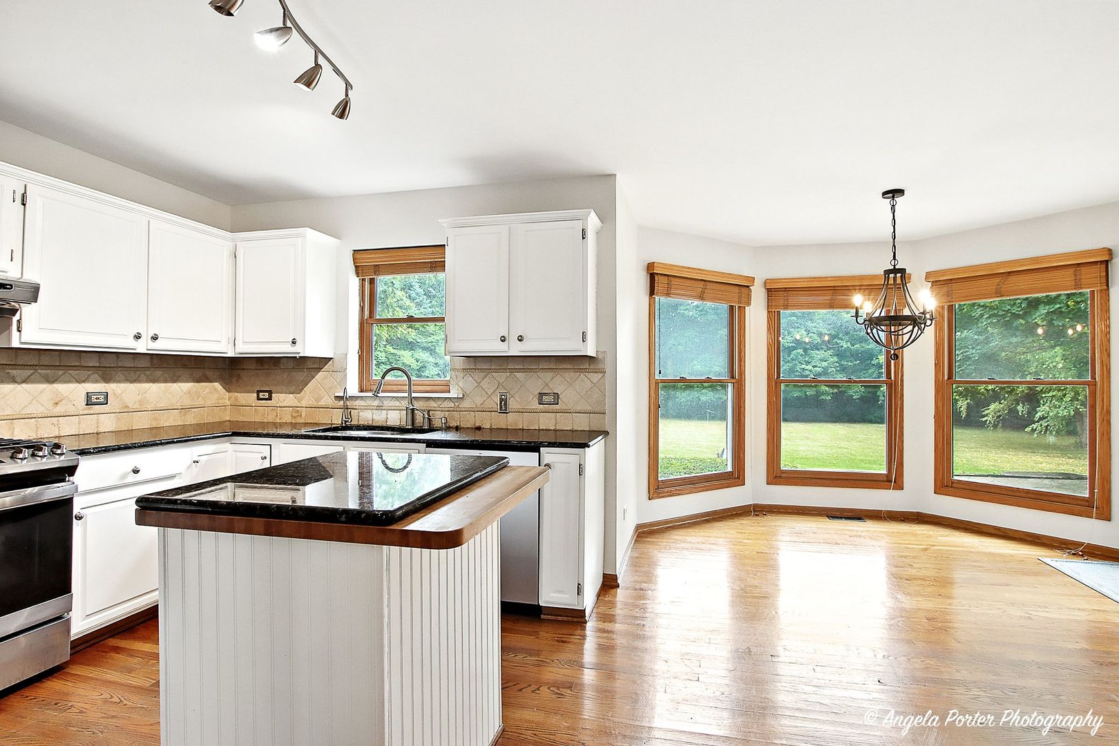 40491 N Goldenrod Lane, Wadsworth, IL 60083