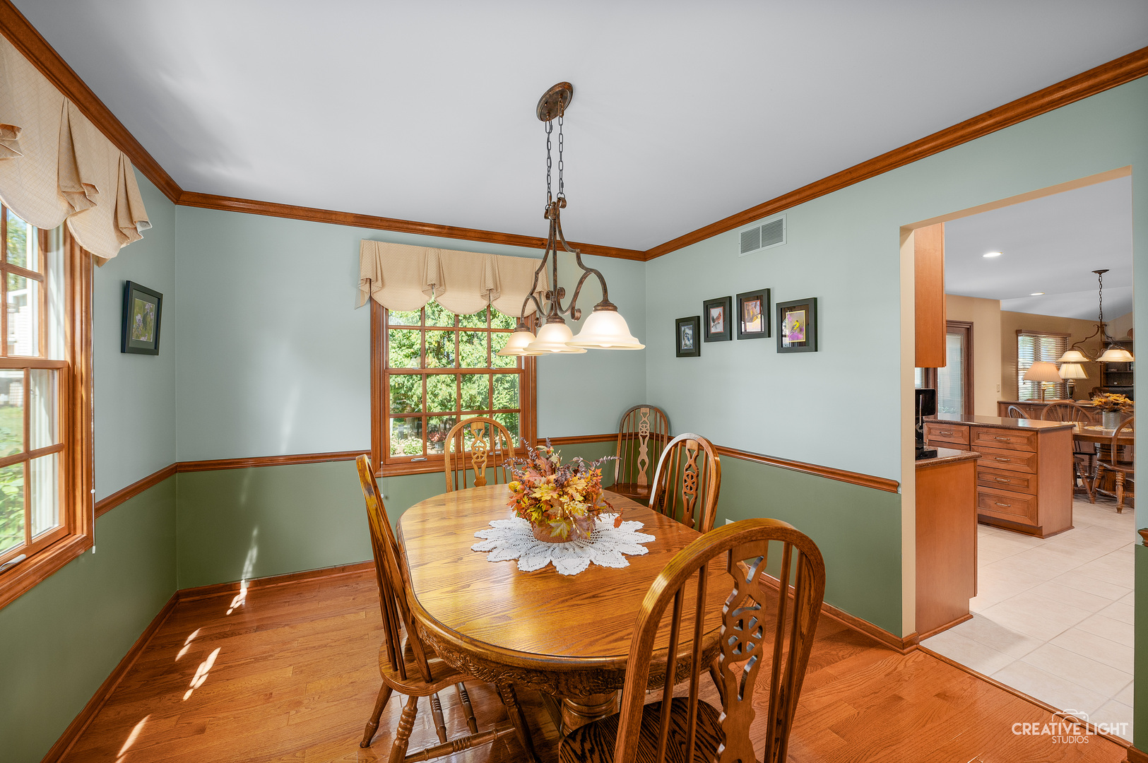 1317 Galena Court, Naperville, IL 60564