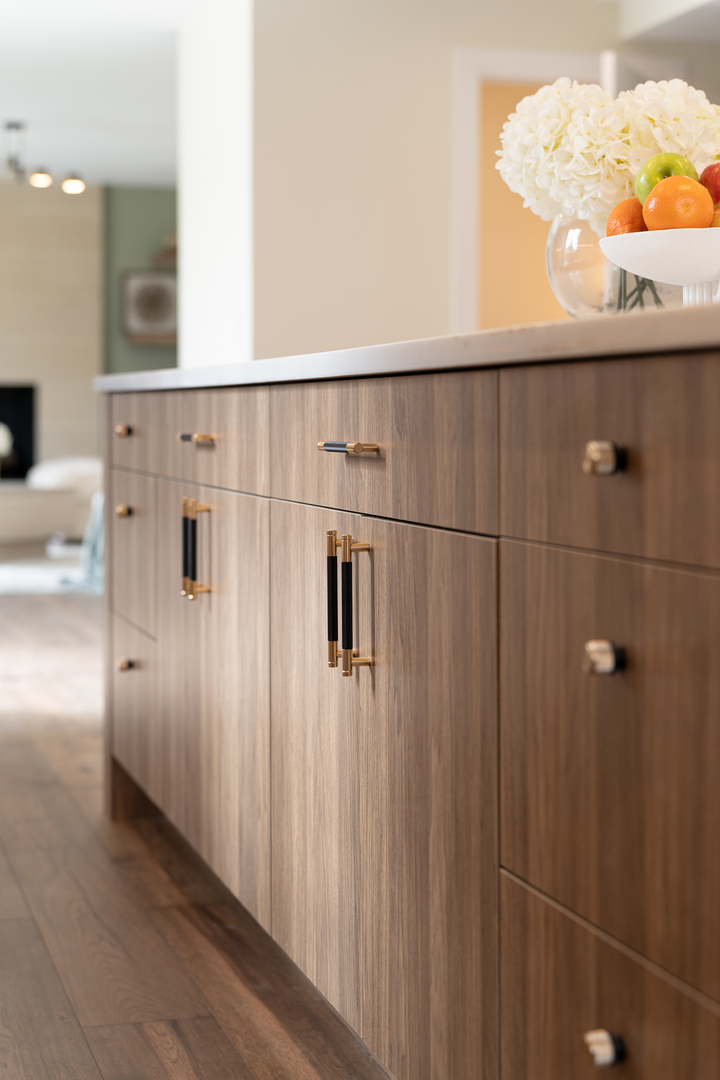 805 S Tures Lane, Des Plaines, IL 60018