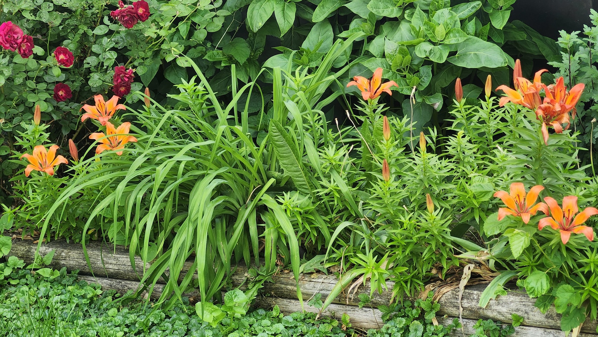 355 N Cherry Street, El Paso, IL 61738