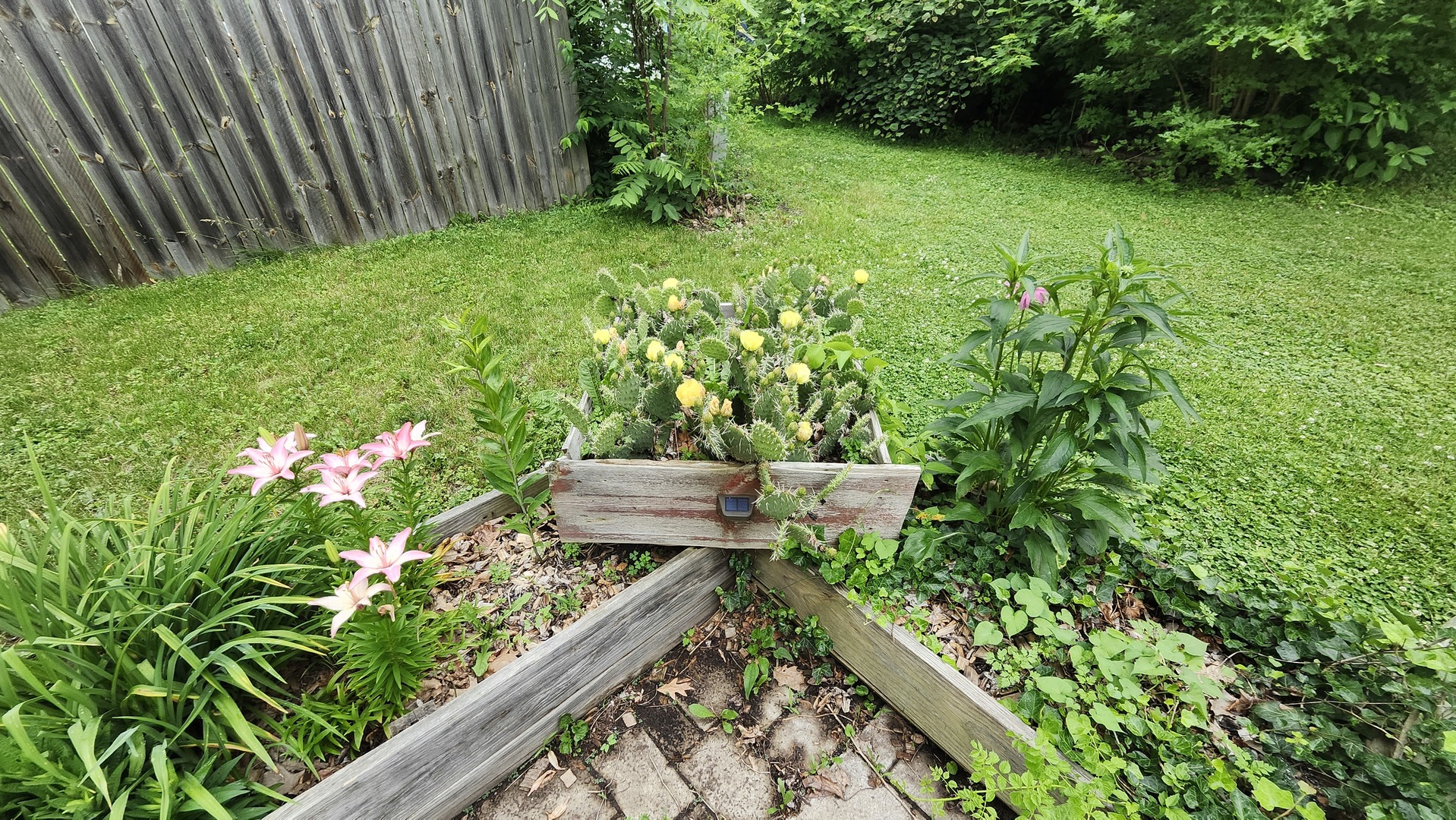 355 N Cherry Street, El Paso, IL 61738