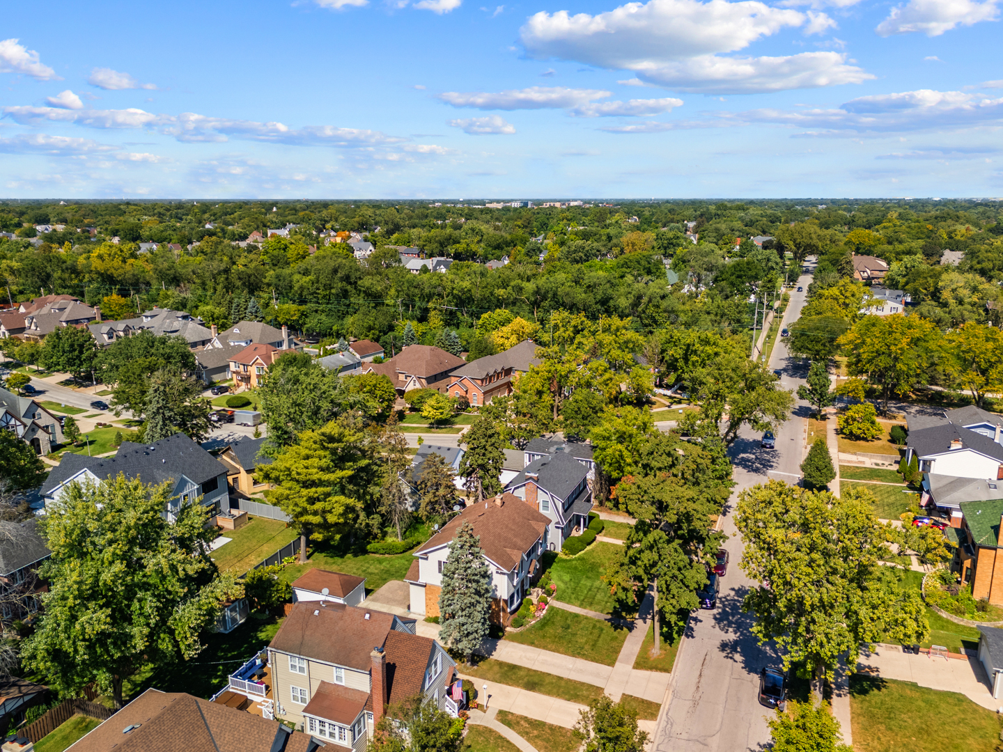 562 S Poplar Avenue, Elmhurst, IL 60126