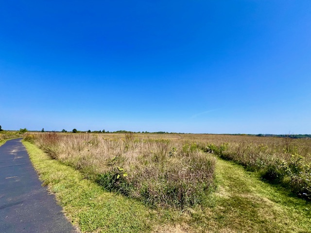 1323 Monroe Street, Lake In The Hills, IL 60156