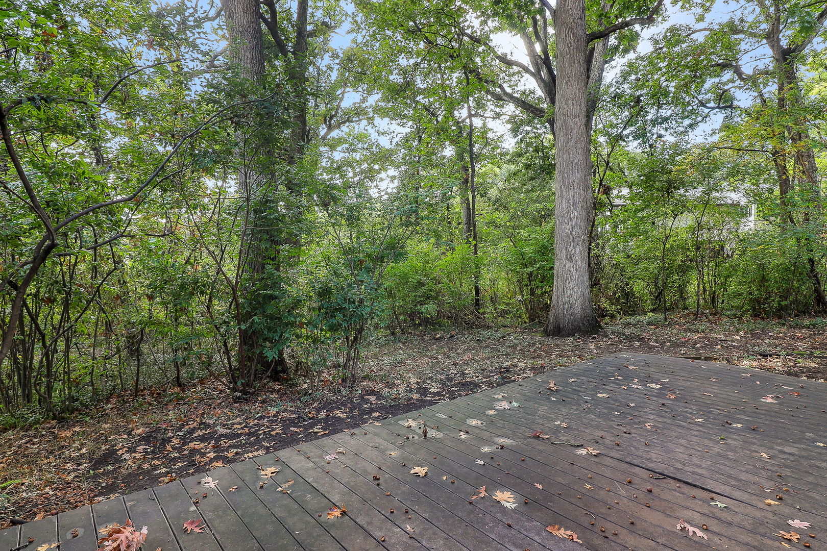 12614 Rail Lane, Palos Park, IL 60464