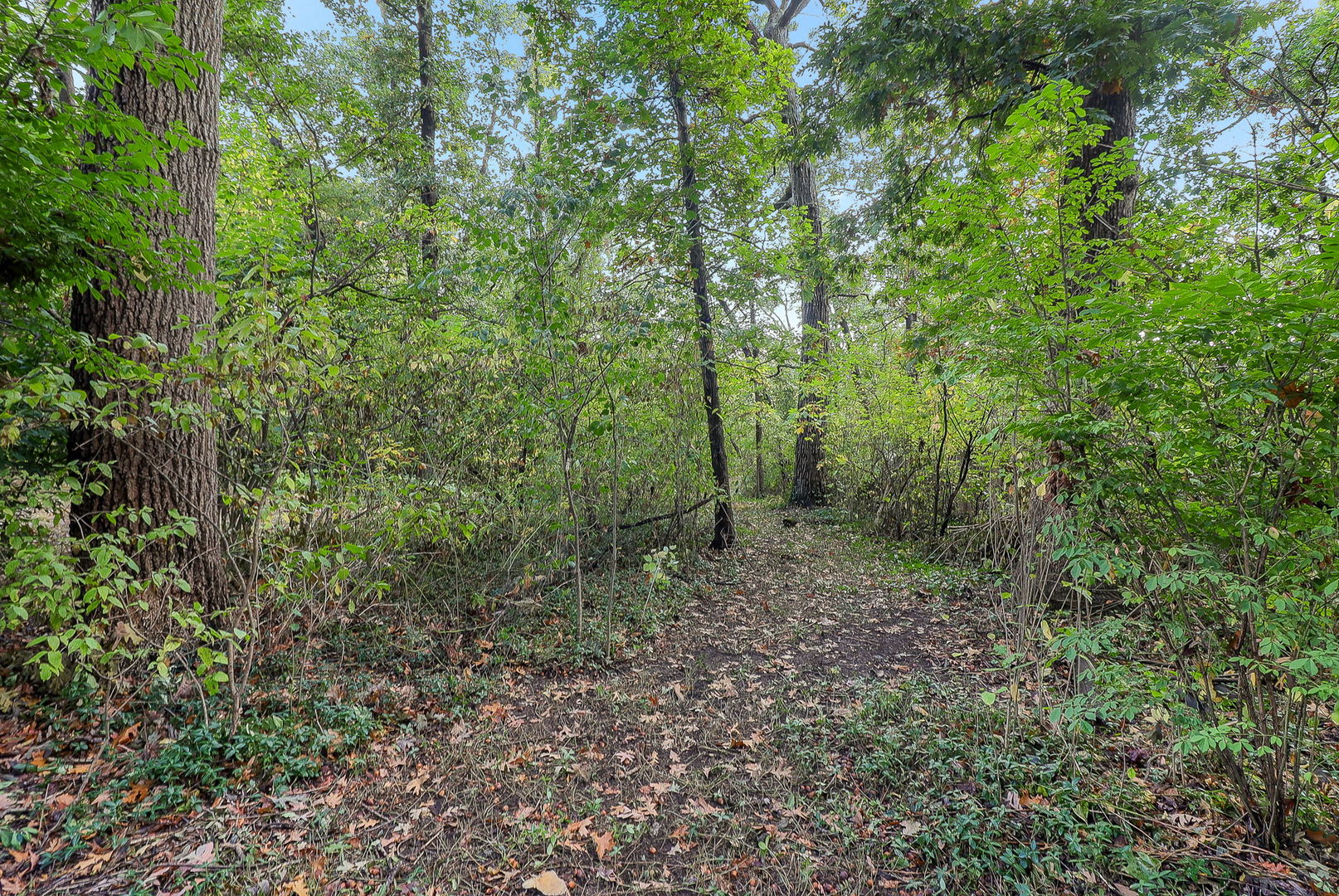 12614 Rail Lane, Palos Park, IL 60464