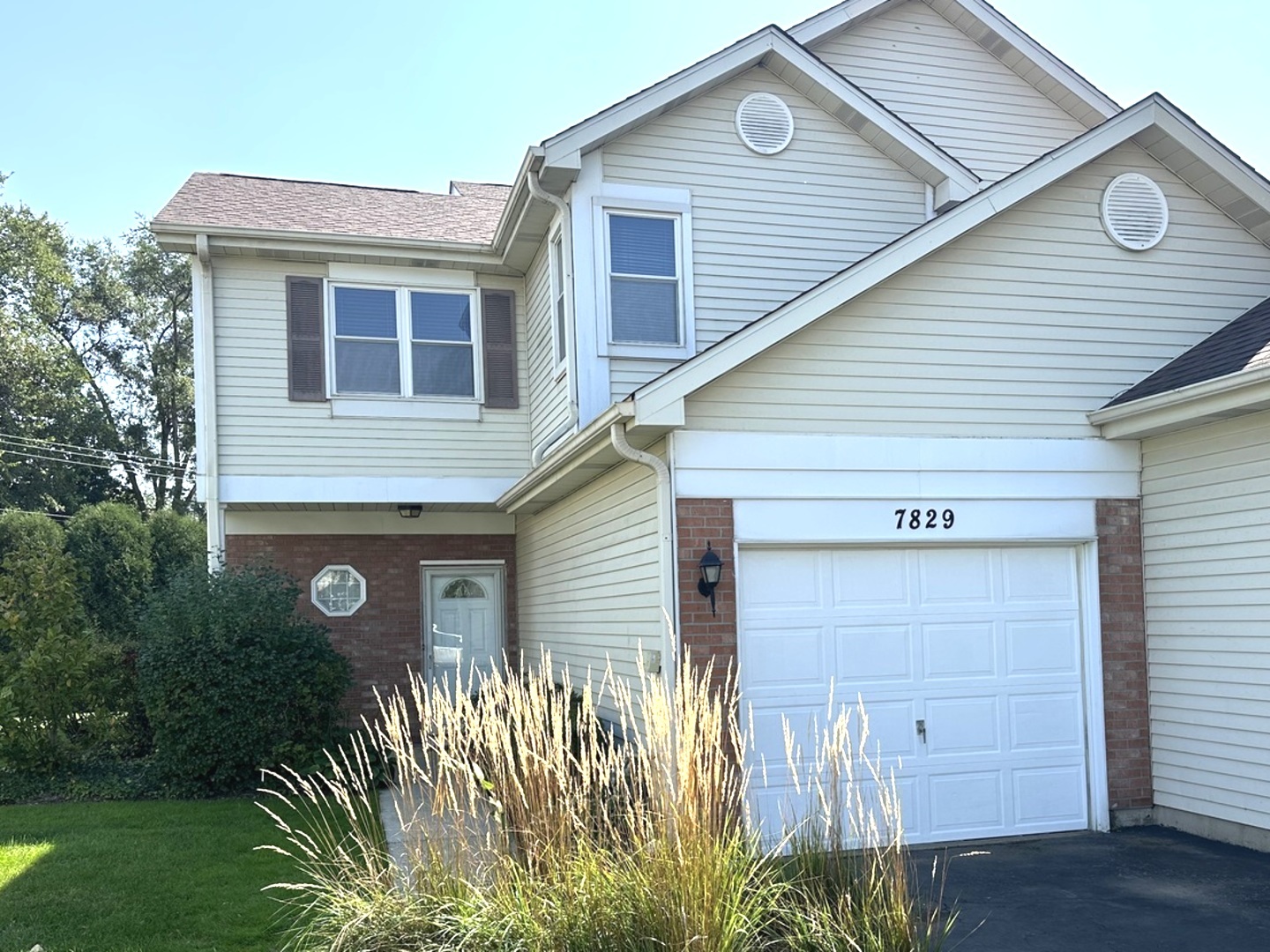 7829 DARIEN LAKE Drive #7829, Darien, IL 60561