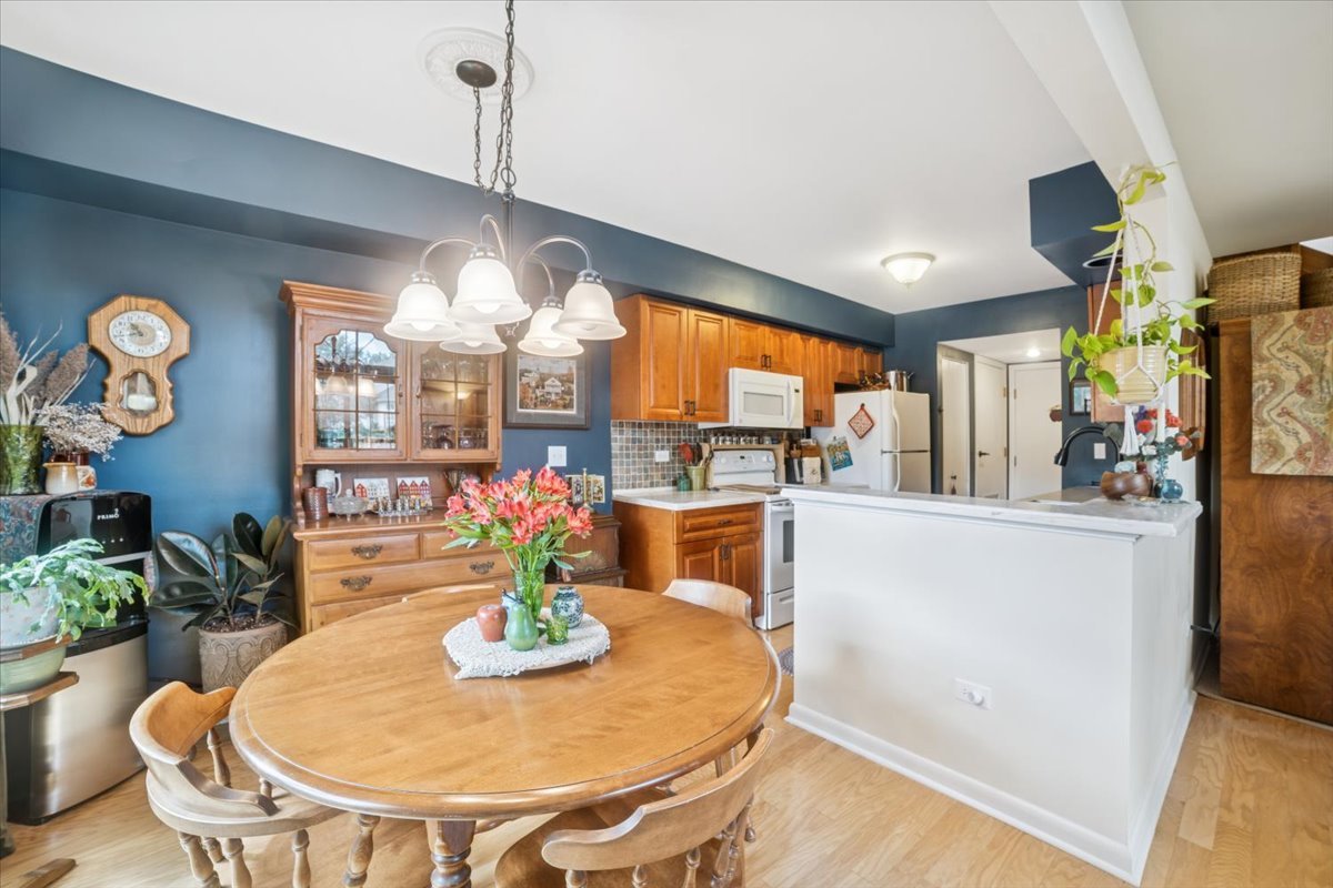 1022 N Knollwood Drive, Palatine, IL 60067