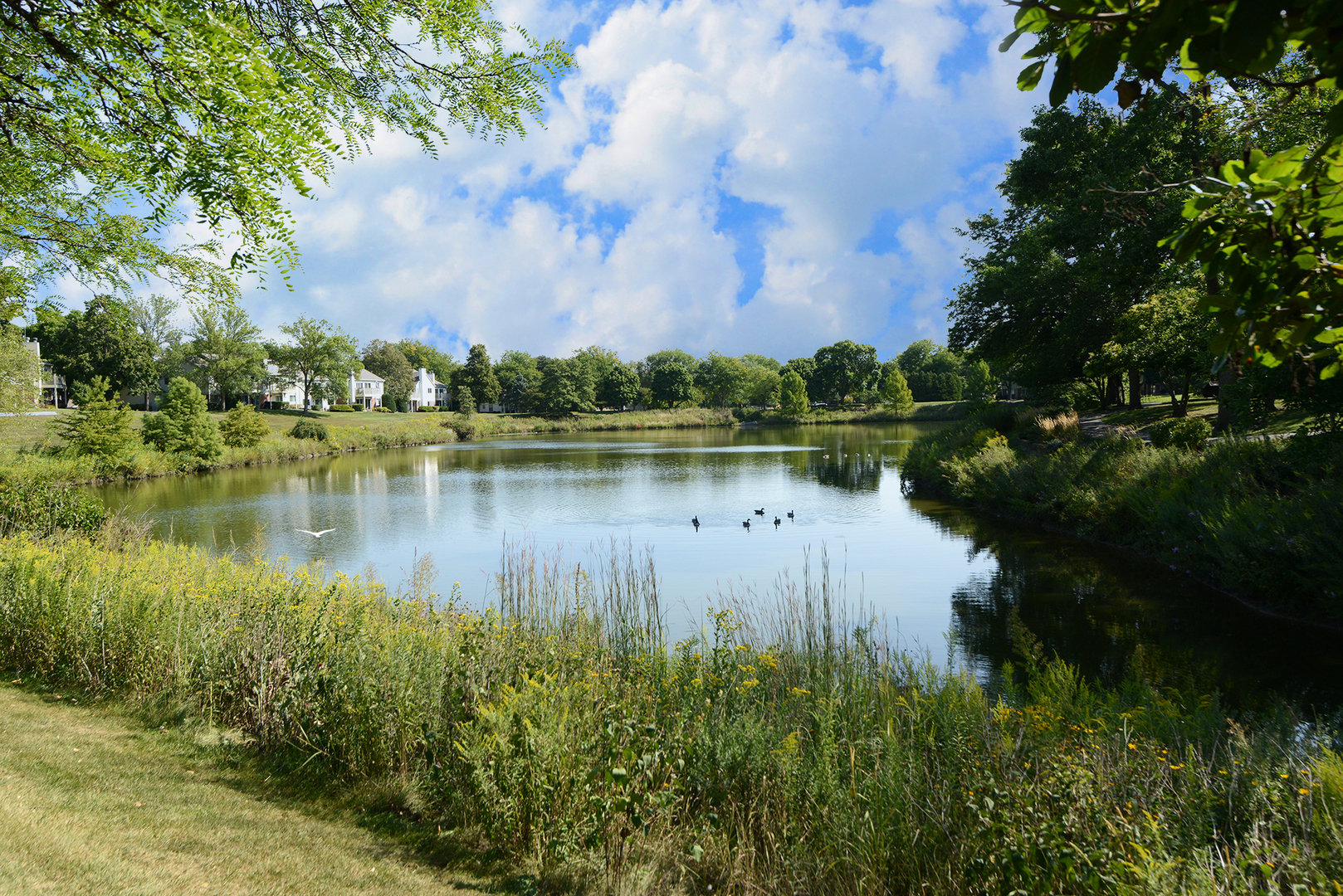 1502 Canbury Court #D1, Wheeling, IL 60090