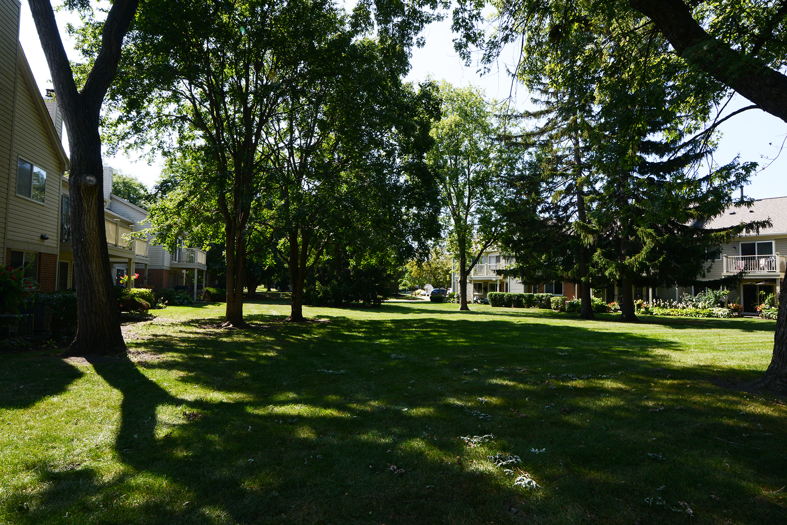 1502 Canbury Court #D1, Wheeling, IL 60090