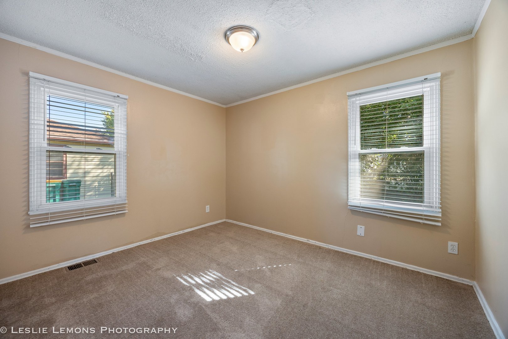 1102 Krings Lane, Joliet, IL 60435