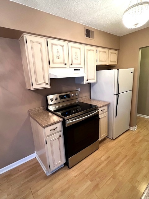 1029 Buccaneer Drive #6, Schaumburg, IL 60173