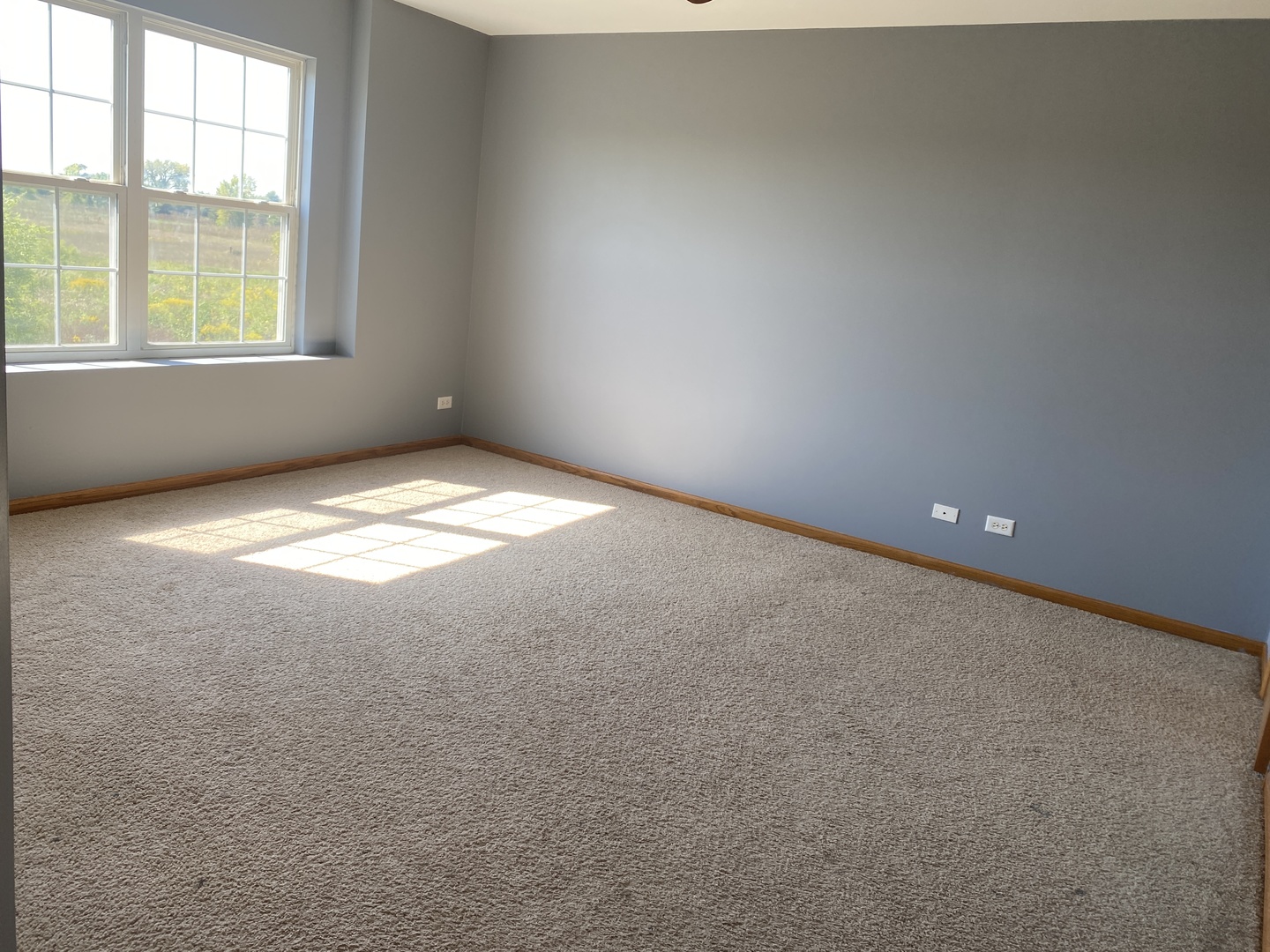 8508 Sawyer Court, Joliet, IL 60431