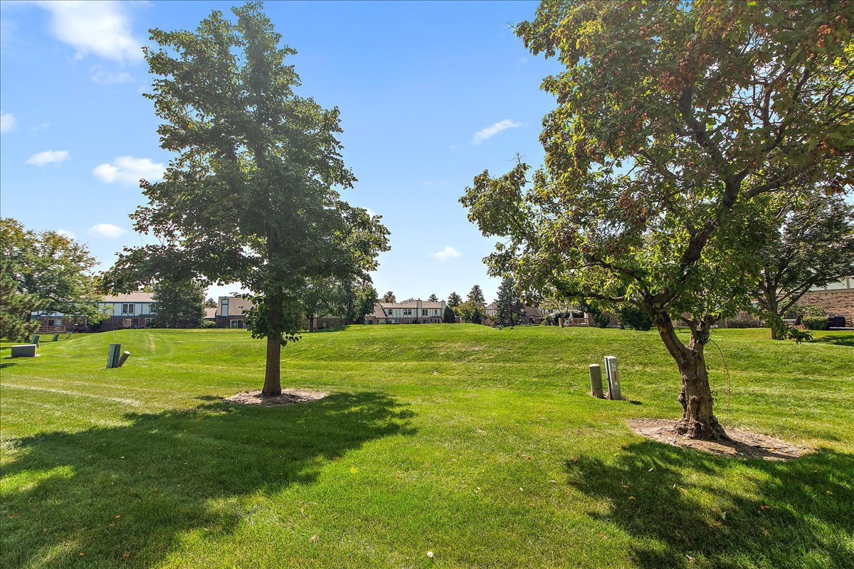 14746 Lakeview Drive, Orland Park, IL 60462