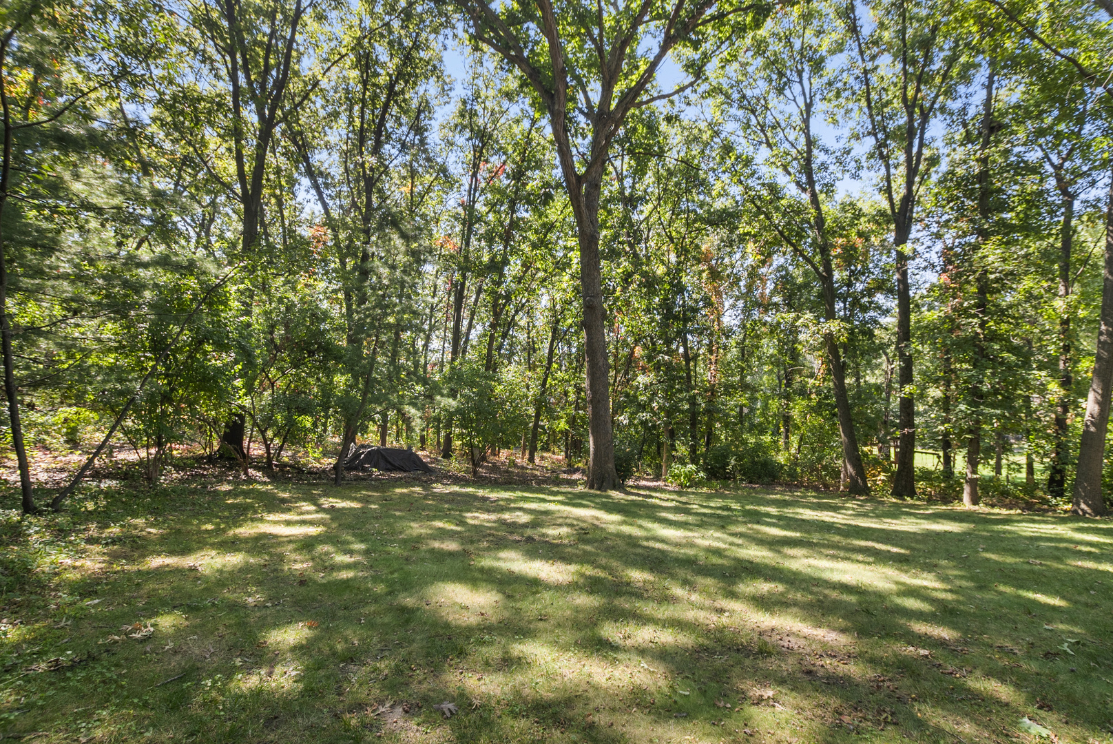 14715 S Woodcrest Avenue, Homer Glen, IL 60491