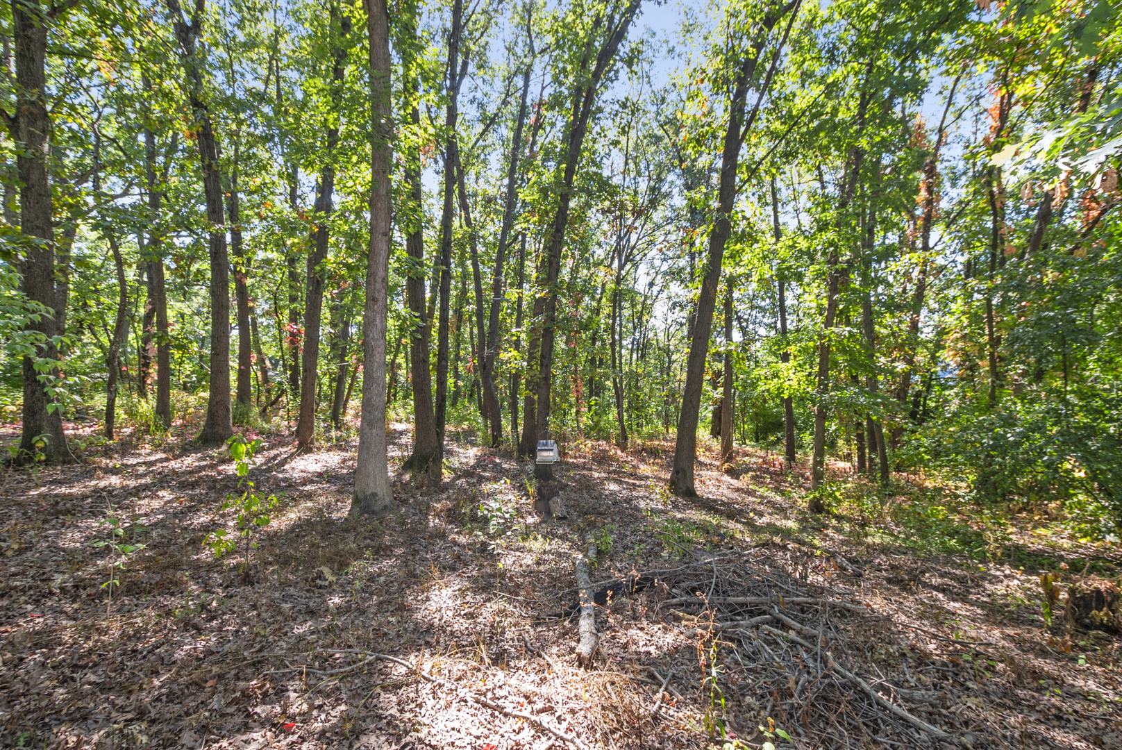 14715 S Woodcrest Avenue, Homer Glen, IL 60491