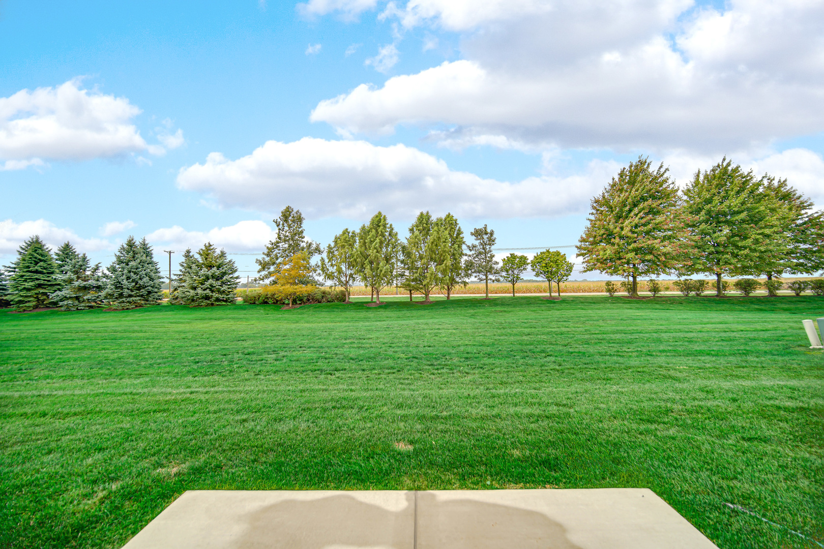 3401 Helene Rieder Drive, Montgomery, IL 60538