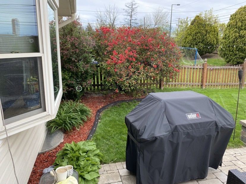 849 S School Street, Lombard, IL 60148