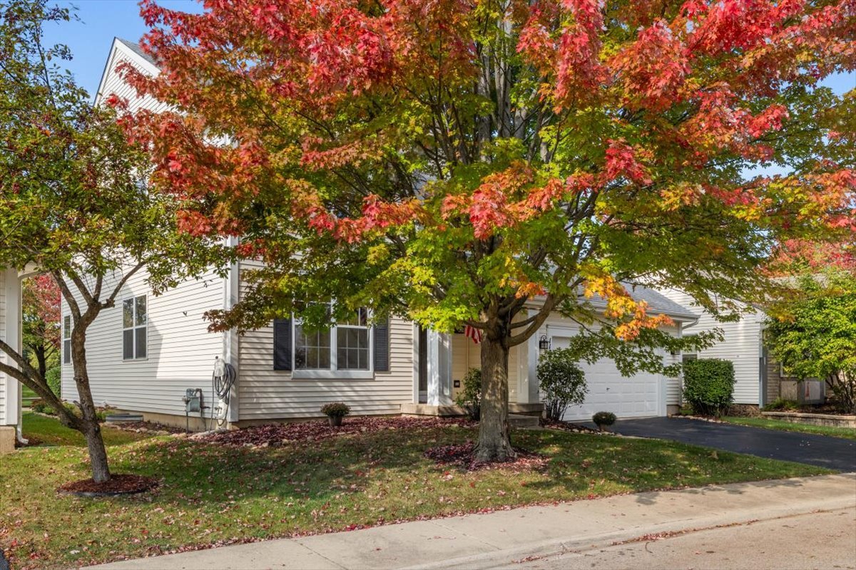 1128 Masters Parkway, Aurora, IL 60506