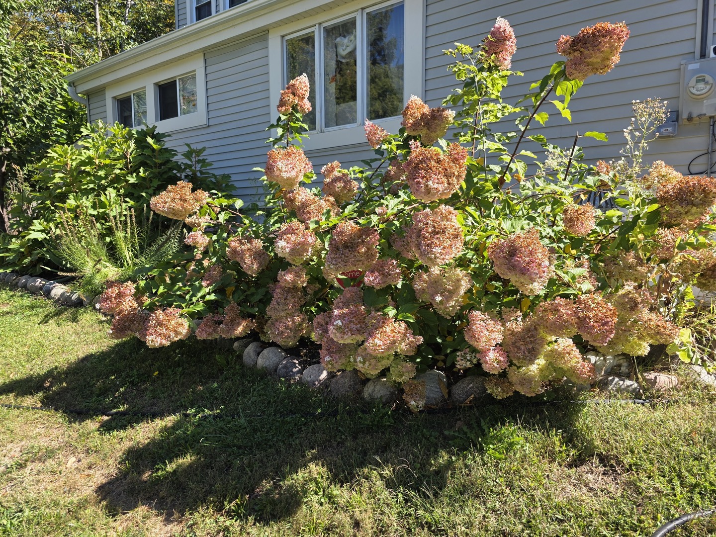 38433 N 5th Avenue, Spring Grove, IL 60081