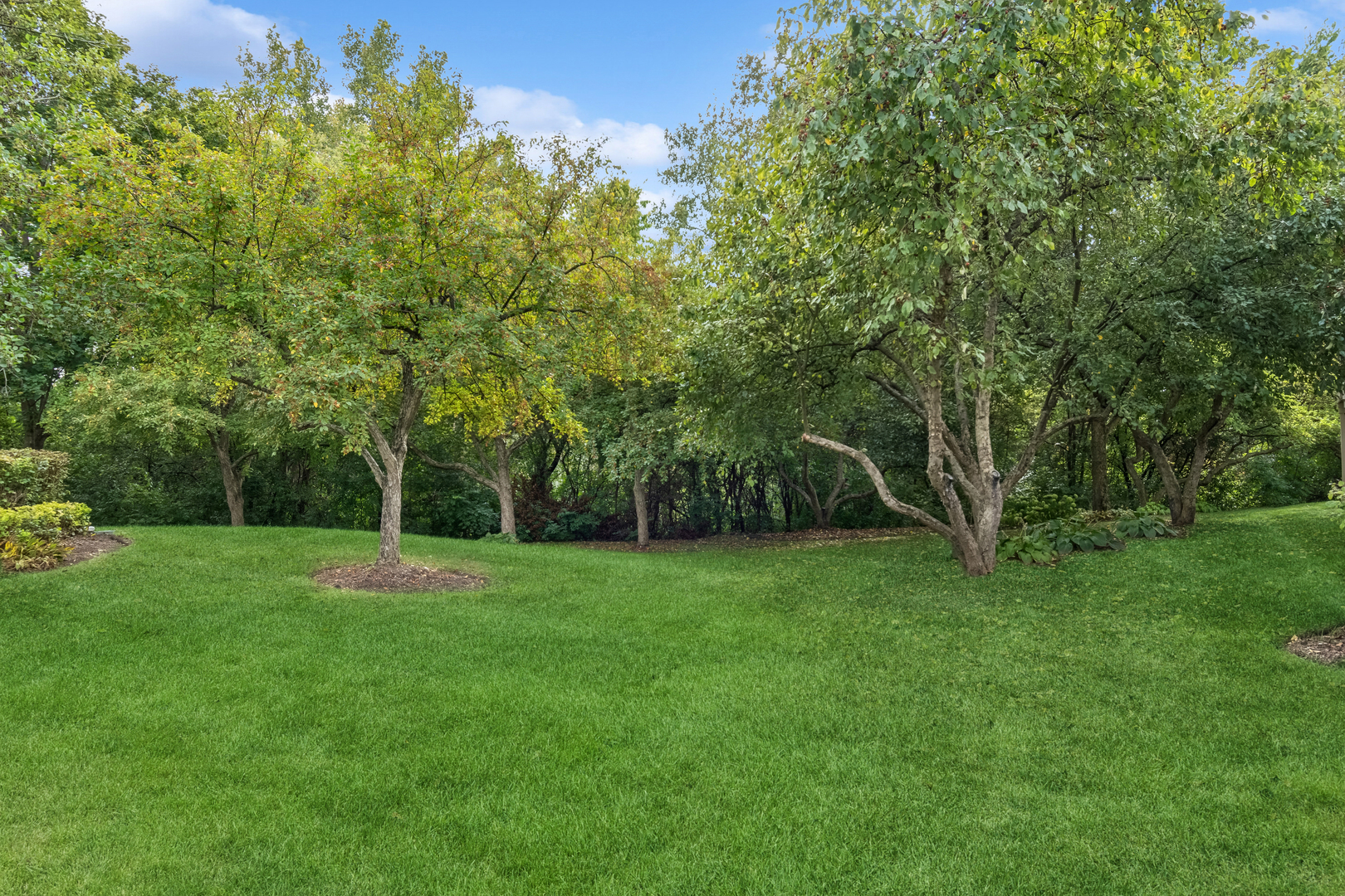 30W073 Penny Lane #0, Warrenville, IL 60555