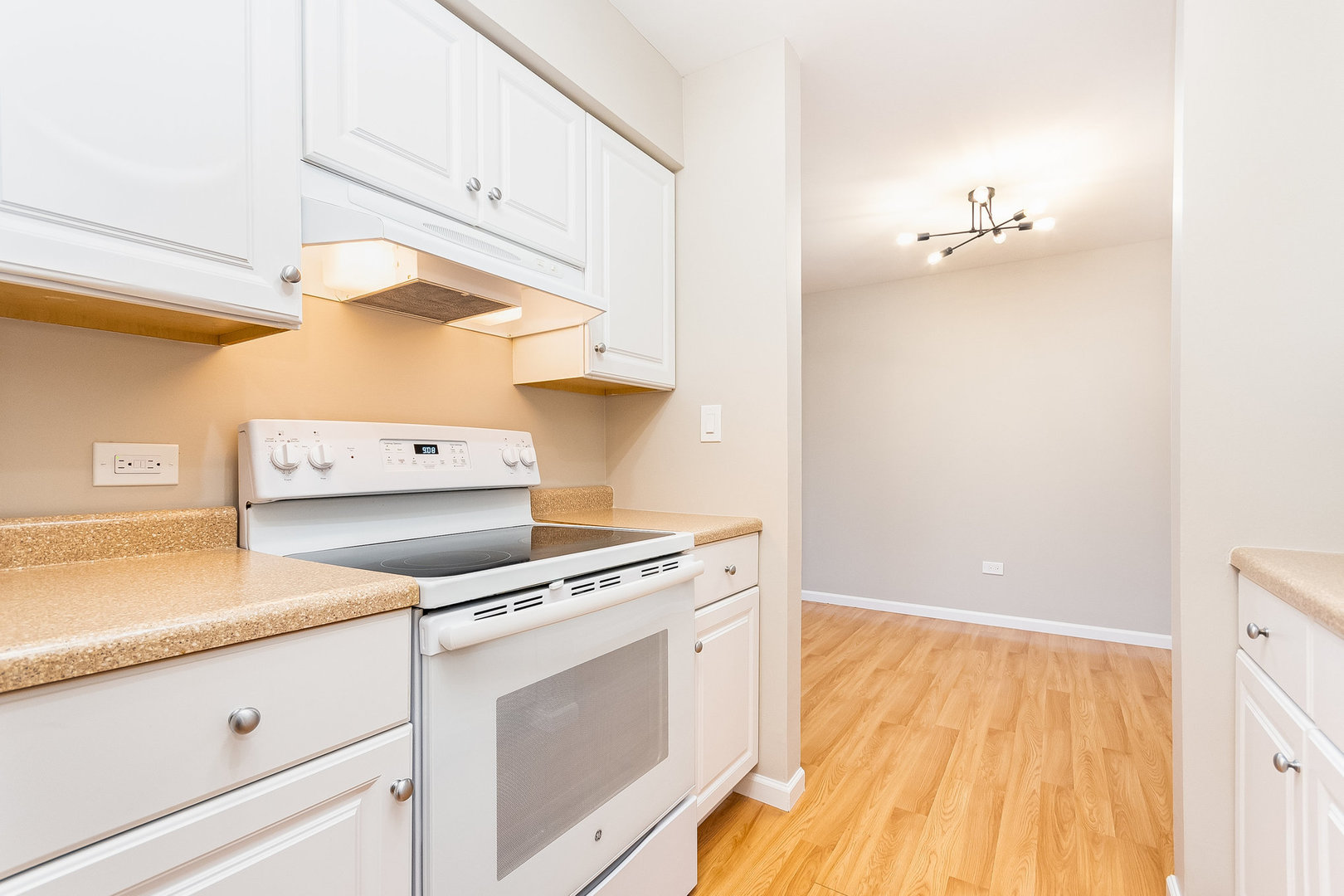6165 Knoll Wood Court #302, Willowbrook, IL 60527