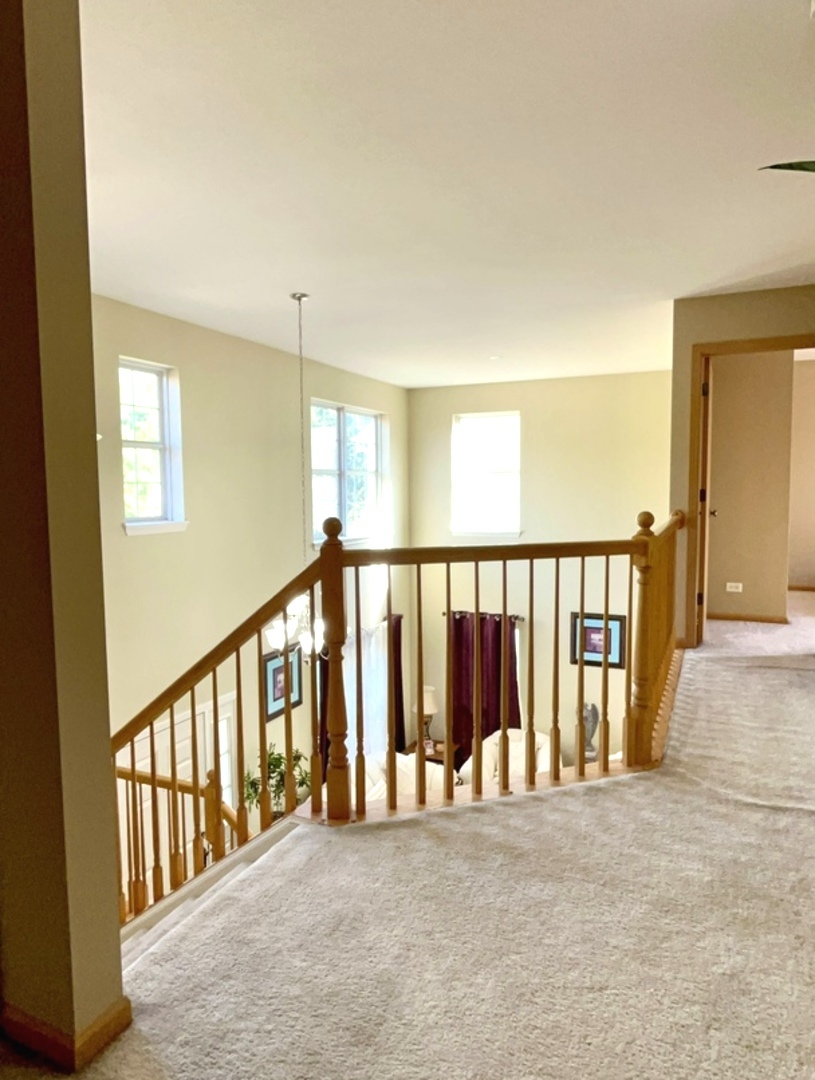 1003 Plaintain Drive, Joliet, IL 60431