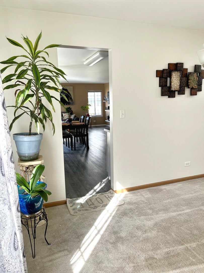 1003 Plaintain Drive, Joliet, IL 60431