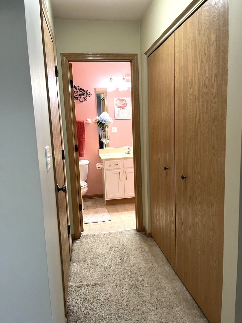 1003 Plaintain Drive, Joliet, IL 60431