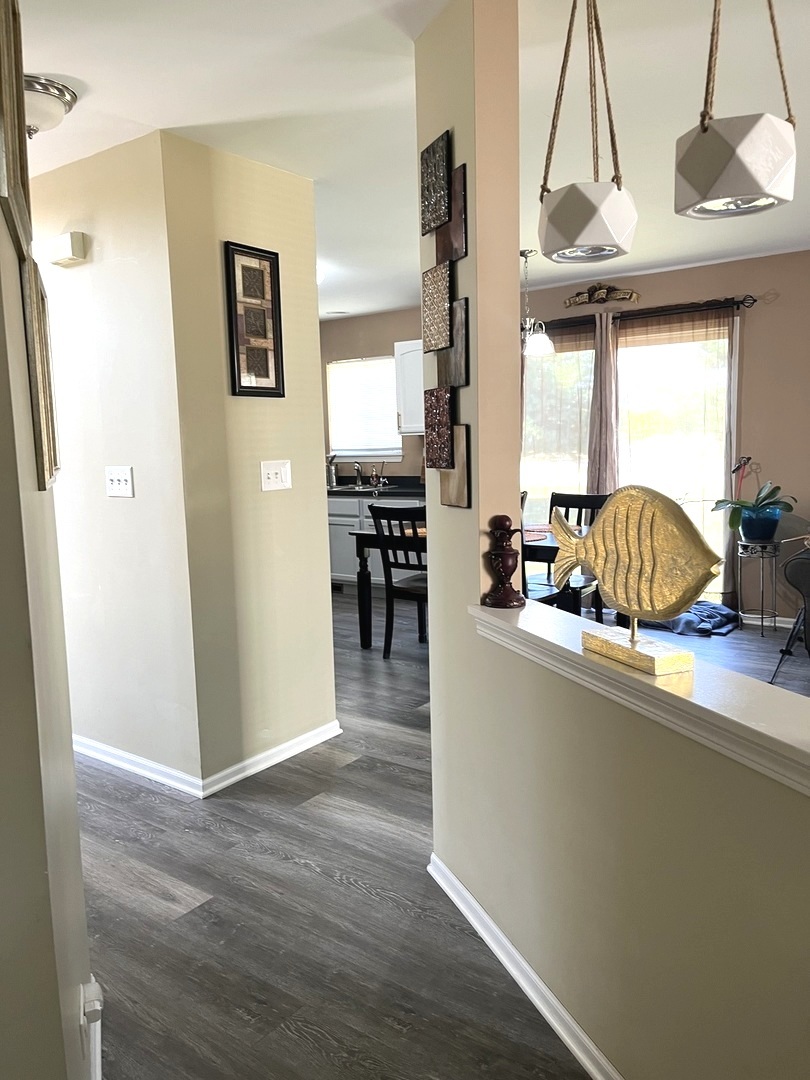 1003 Plaintain Drive, Joliet, IL 60431