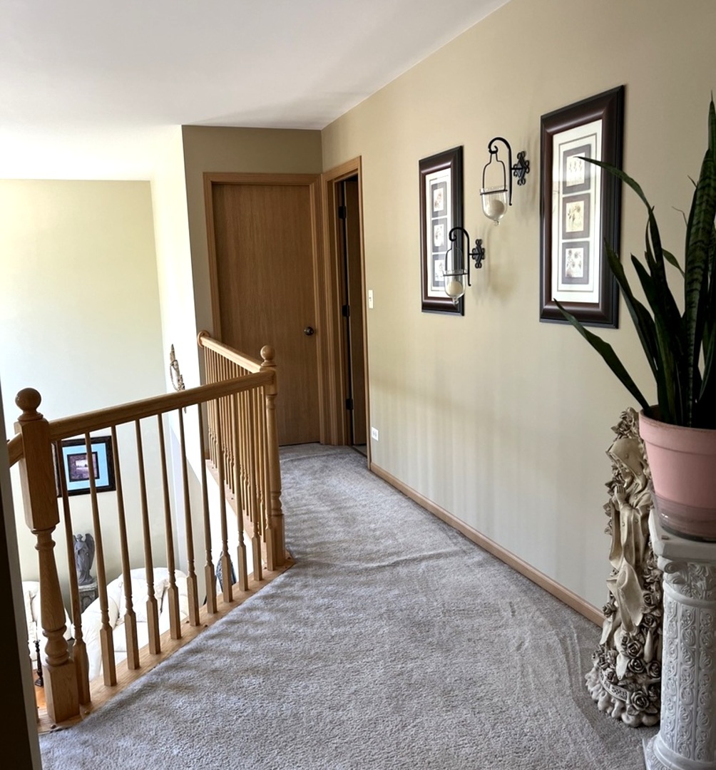 1003 Plaintain Drive, Joliet, IL 60431