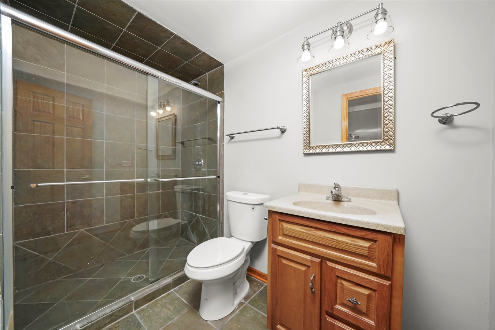 1342 LUNT Court, Schaumburg, IL 60193