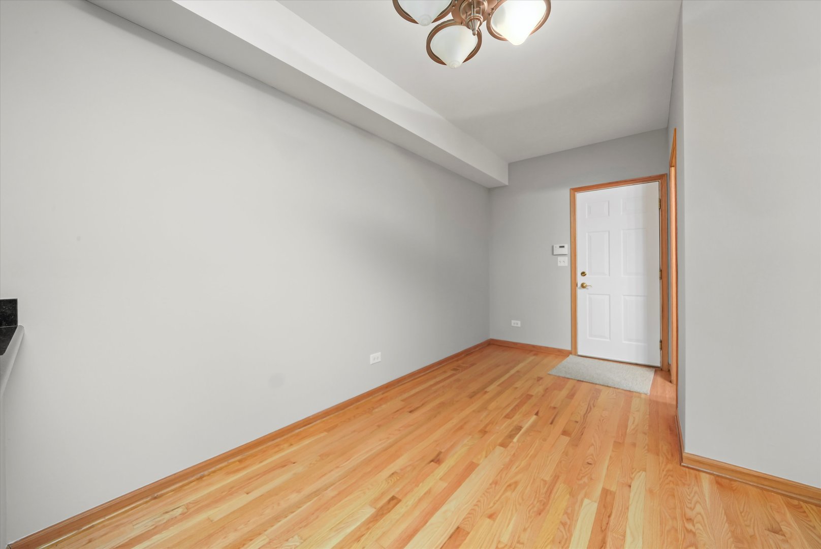 1342 LUNT Court, Schaumburg, IL 60193