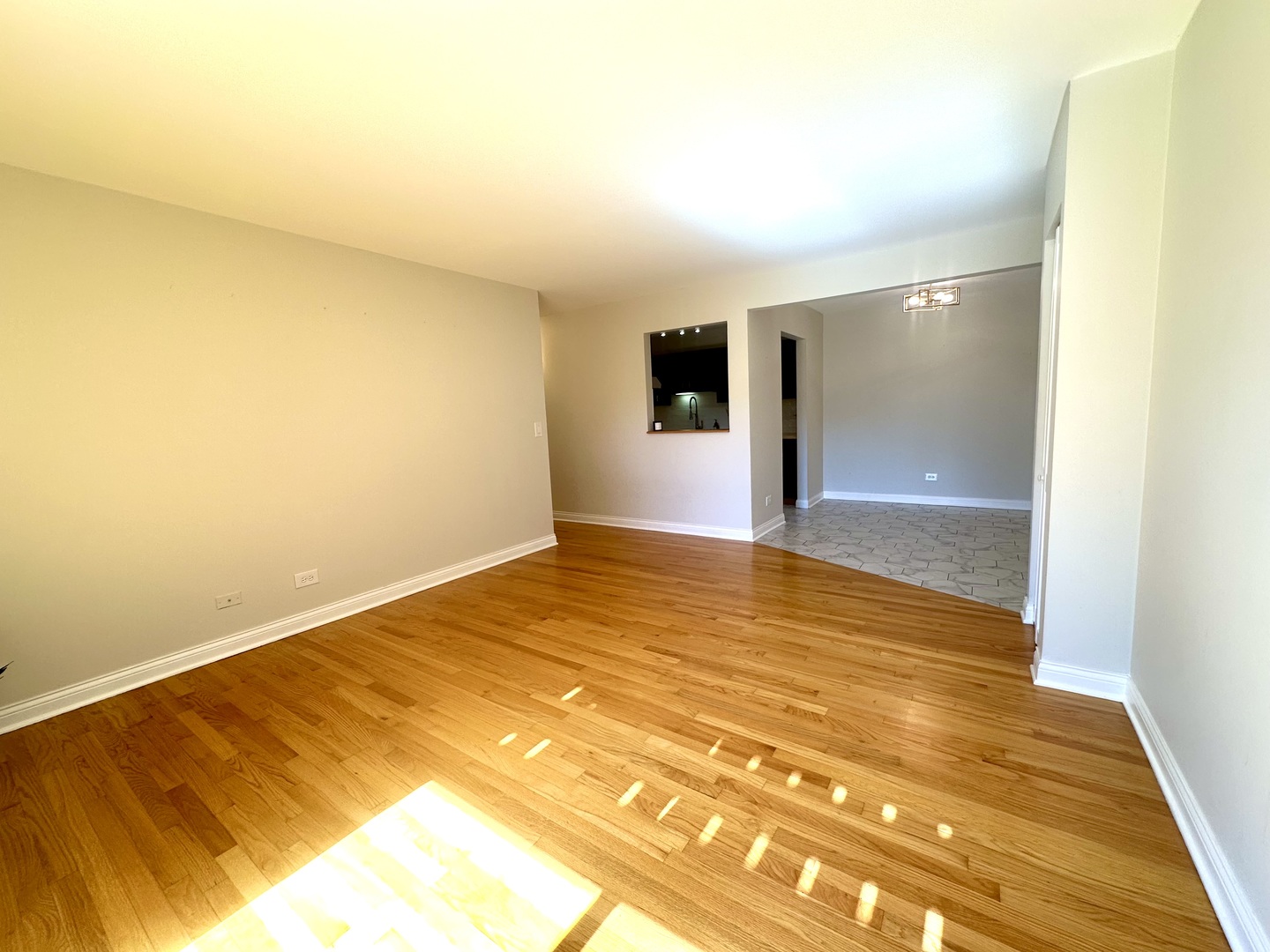 920 N Lakeside Drive #1D, Vernon Hills, IL 60061