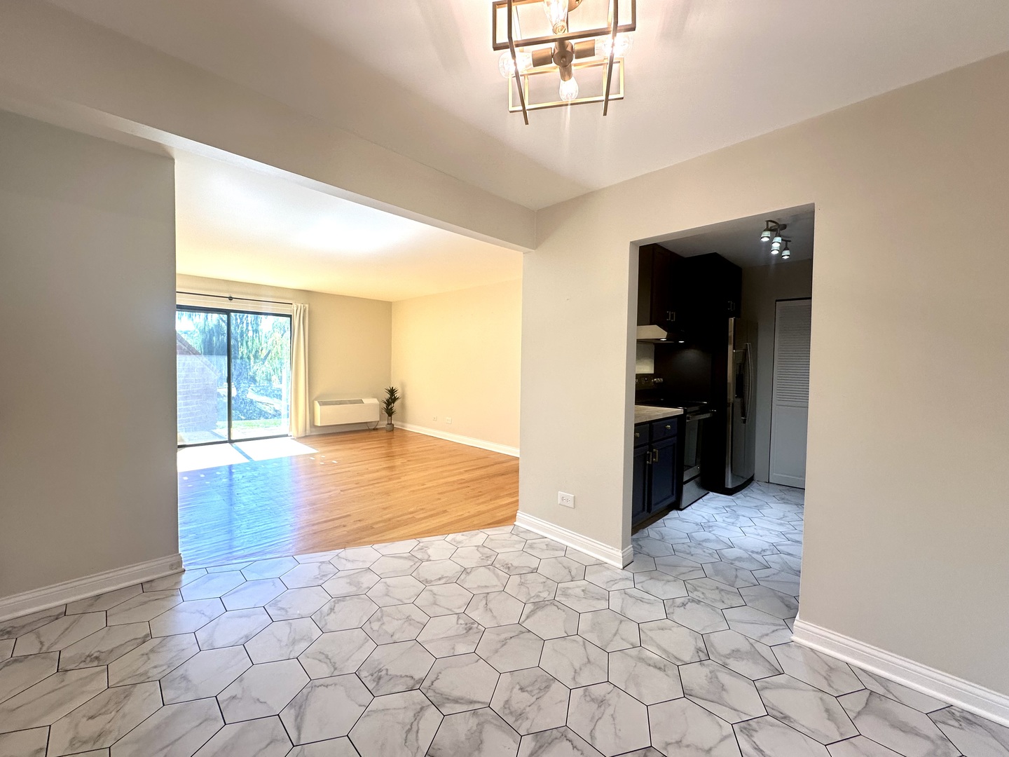 920 N Lakeside Drive #1D, Vernon Hills, IL 60061