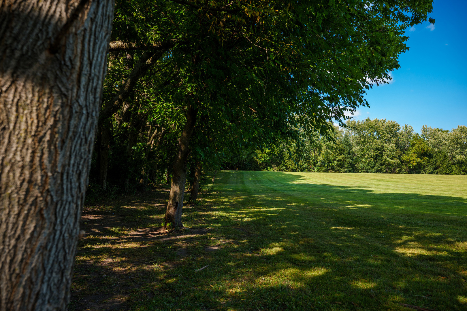 6805 Johnsburg Road, Spring Grove, IL 60081