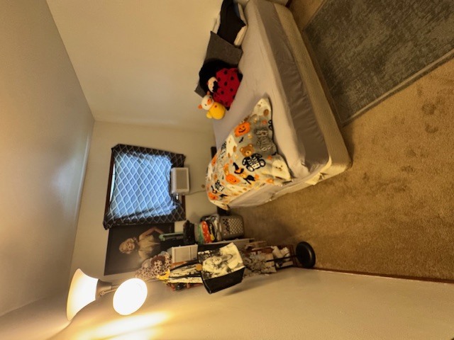 11-13 W Anchor Road, Oswego, IL 60543