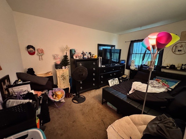 11-13 W Anchor Road, Oswego, IL 60543