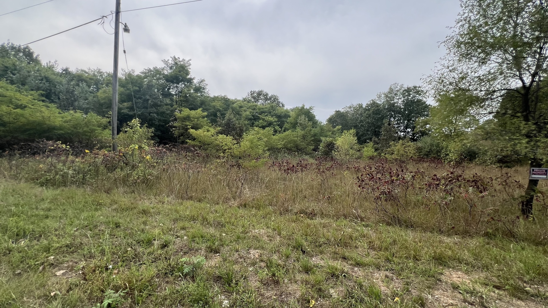 0007 Green Acres Road, Pembroke Twp, IL 60958