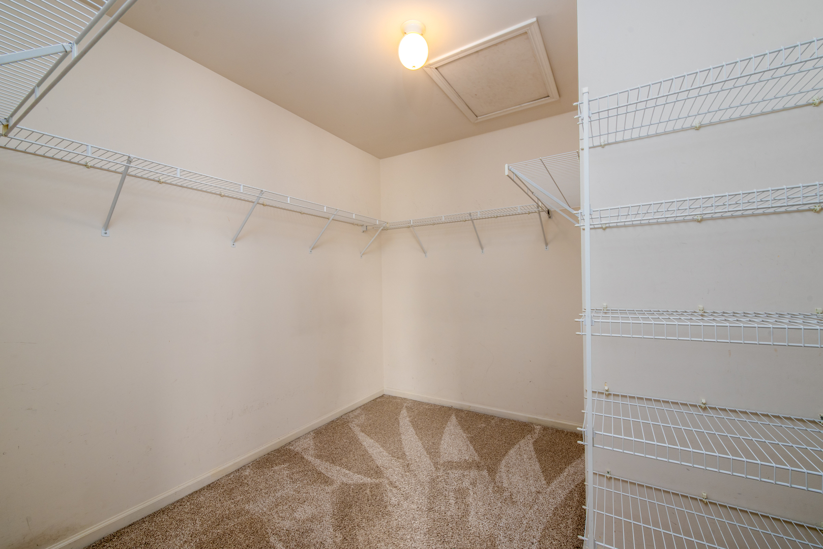 1239 Spaulding Road #C, Bartlett, IL 60103