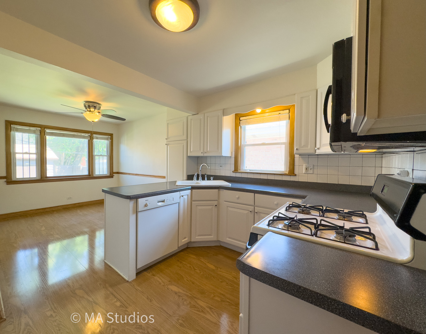 7204 W Myrtle Avenue, Chicago, IL 60631
