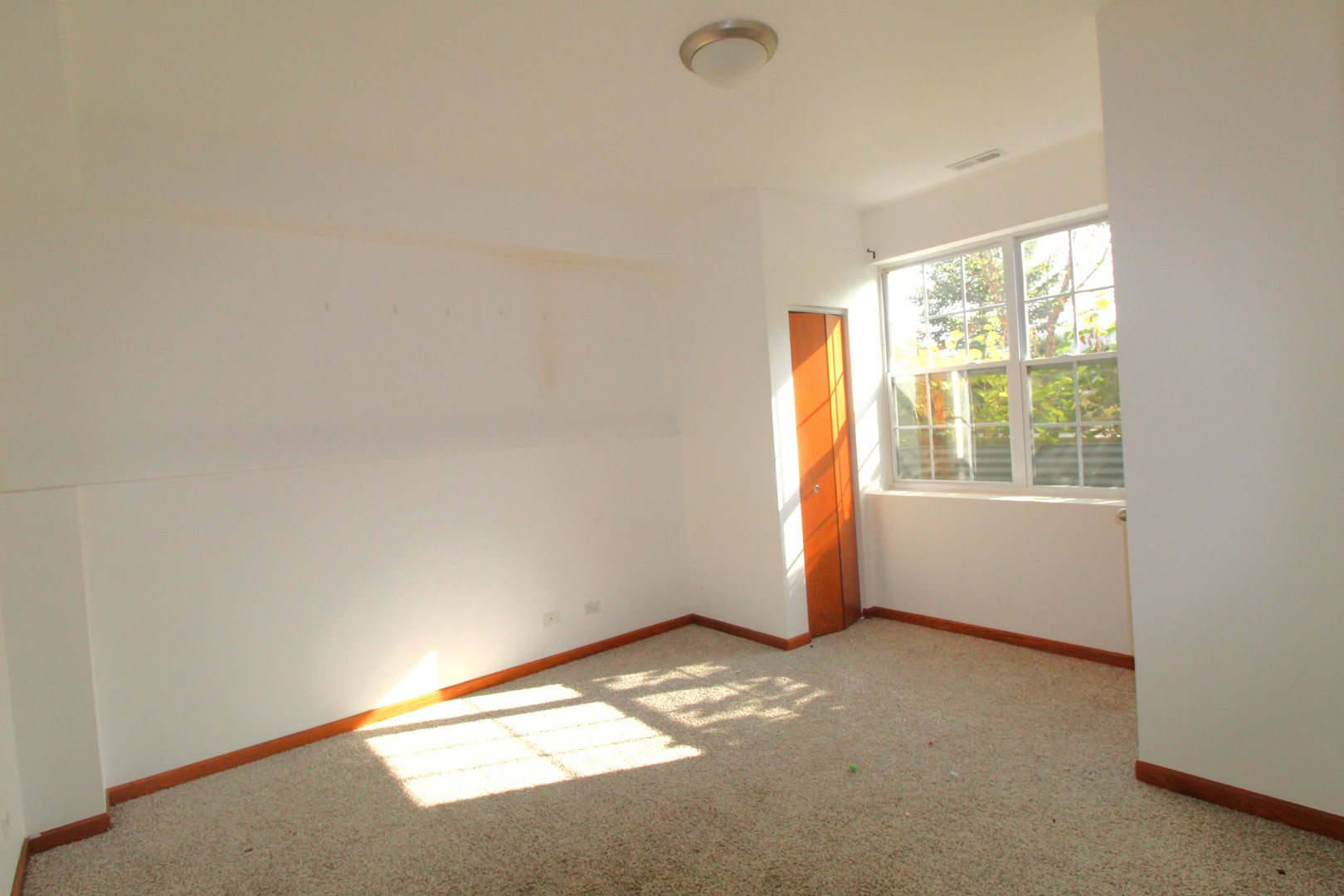 1506 W Turtle Creek Lane #1506, Round Lake, IL 60073