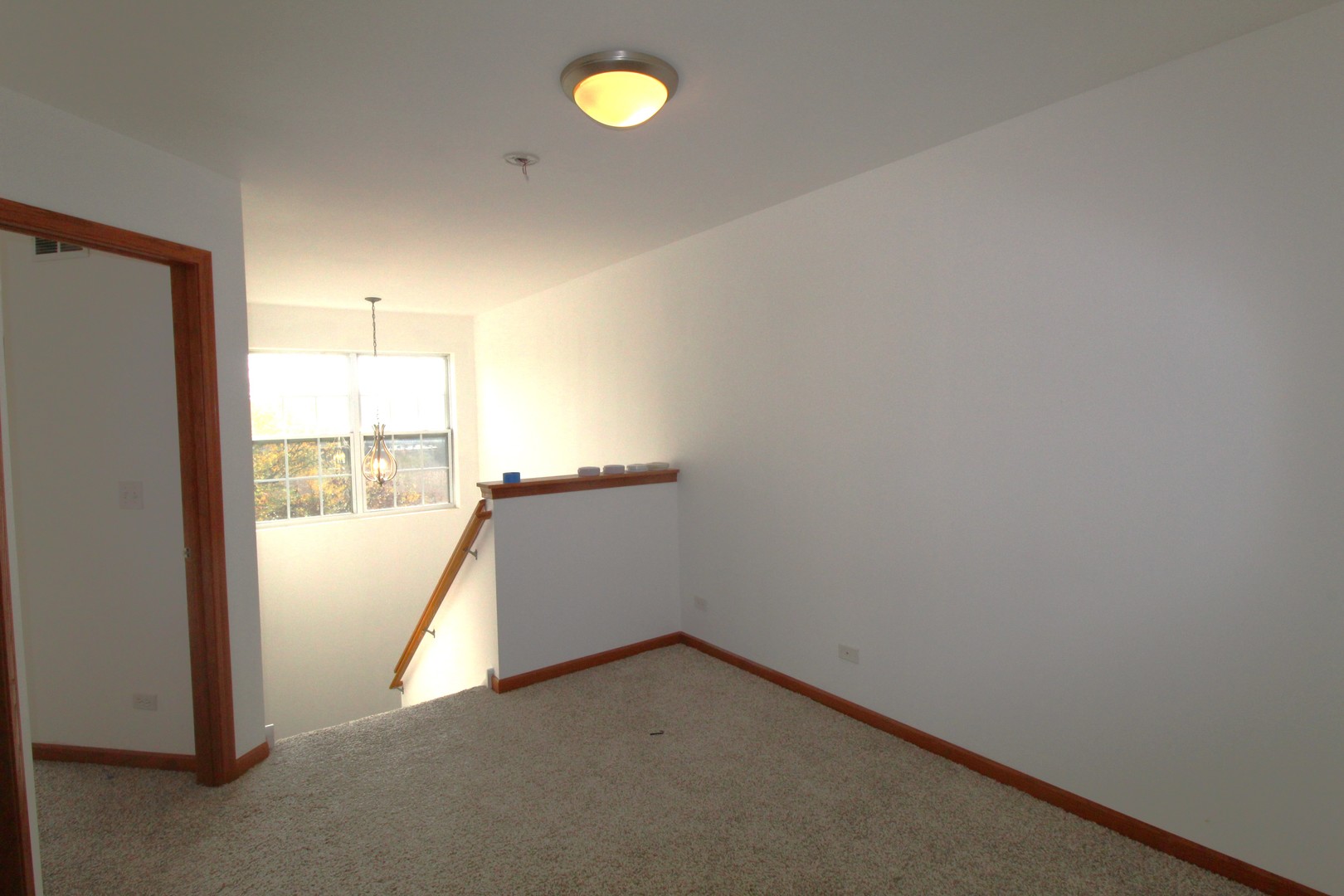 1506 W Turtle Creek Lane #1506, Round Lake, IL 60073