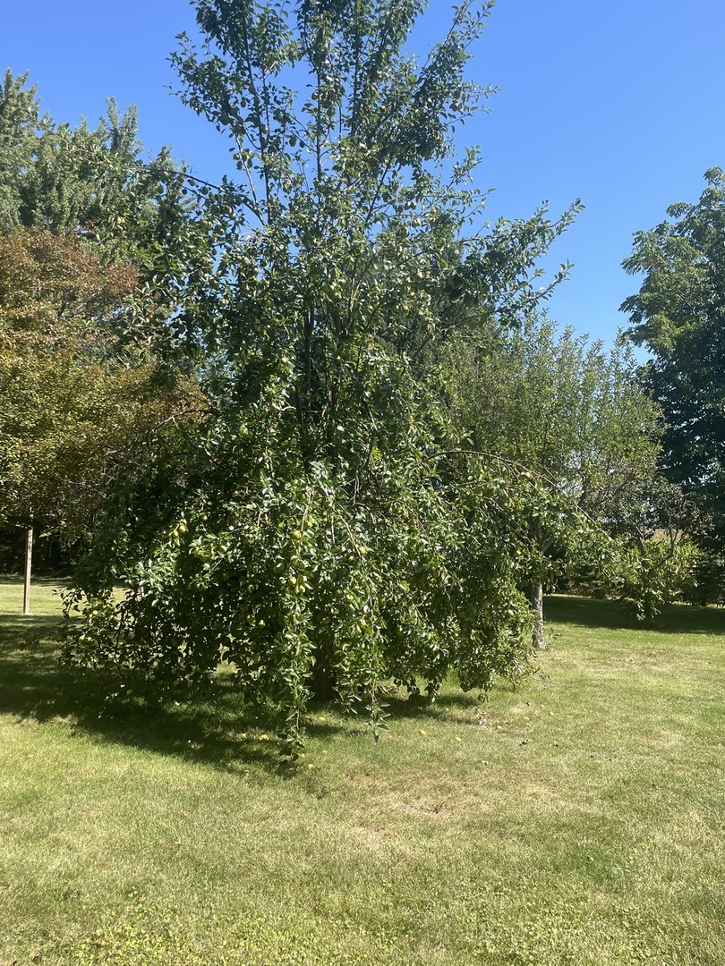 14254 BARBER GREENE Road, Sycamore, IL 60178