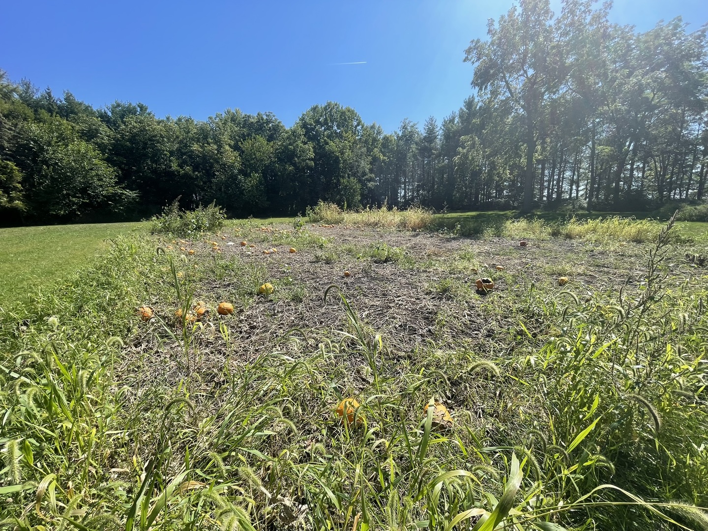 14254 BARBER GREENE Road, Sycamore, IL 60178