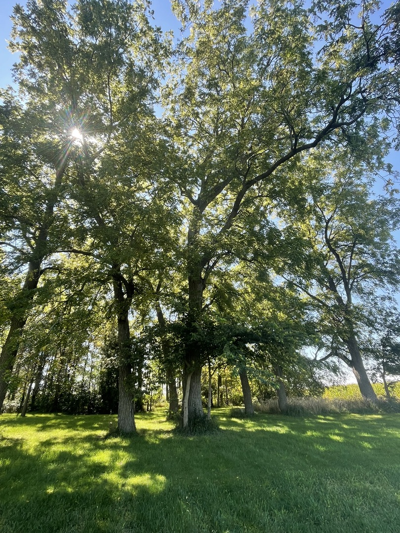 14254 BARBER GREENE Road, Sycamore, IL 60178