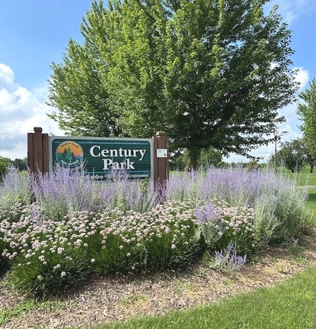 181 BROOK Lane #181, Vernon Hills, IL 60061