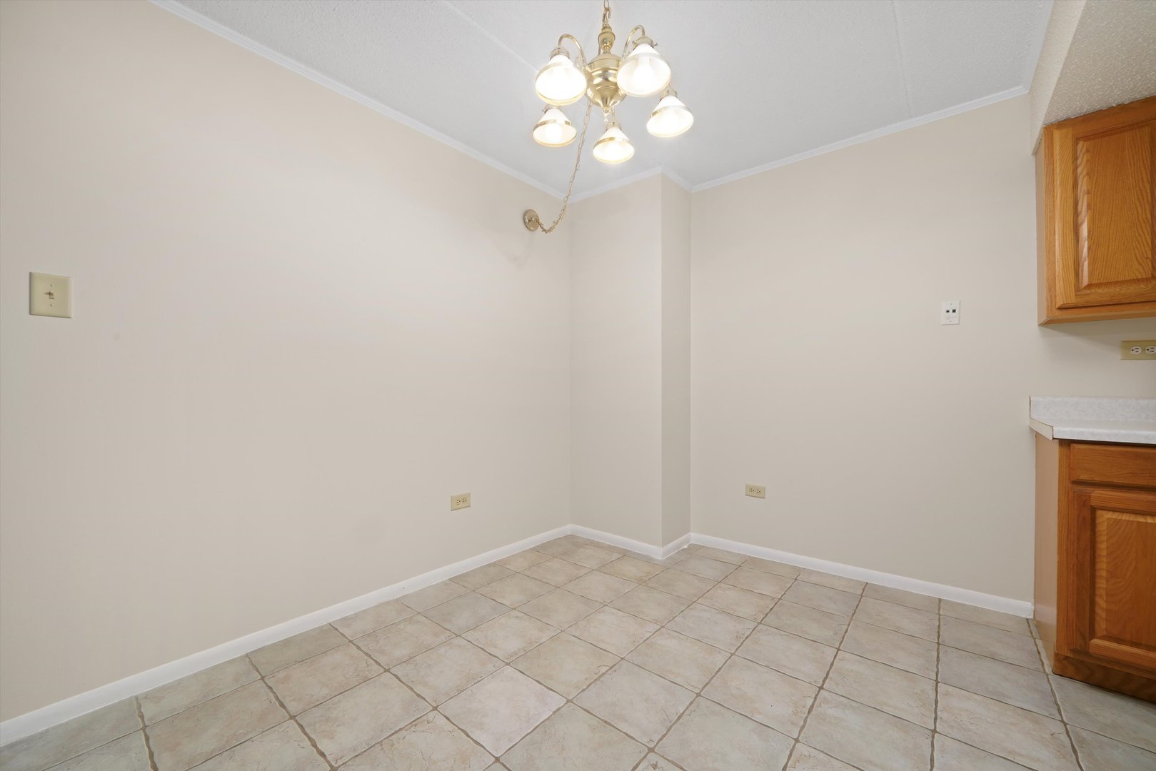 7305 Tiffany Drive #1A, Orland Park, IL 60462