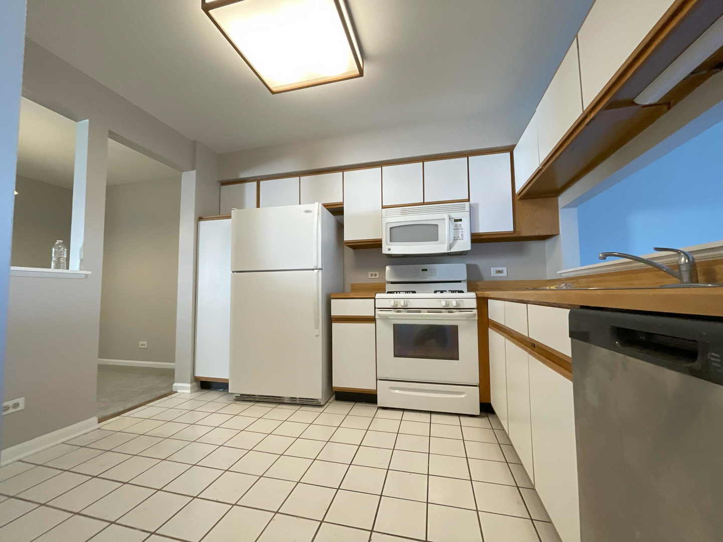 620 Cobblestone Court #620, Elgin, IL 60120