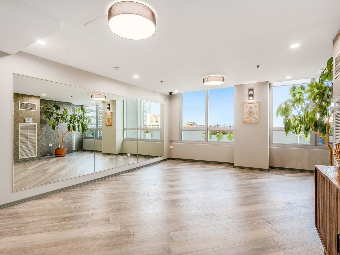 701 S Wells Street #1102, Chicago, IL 60607