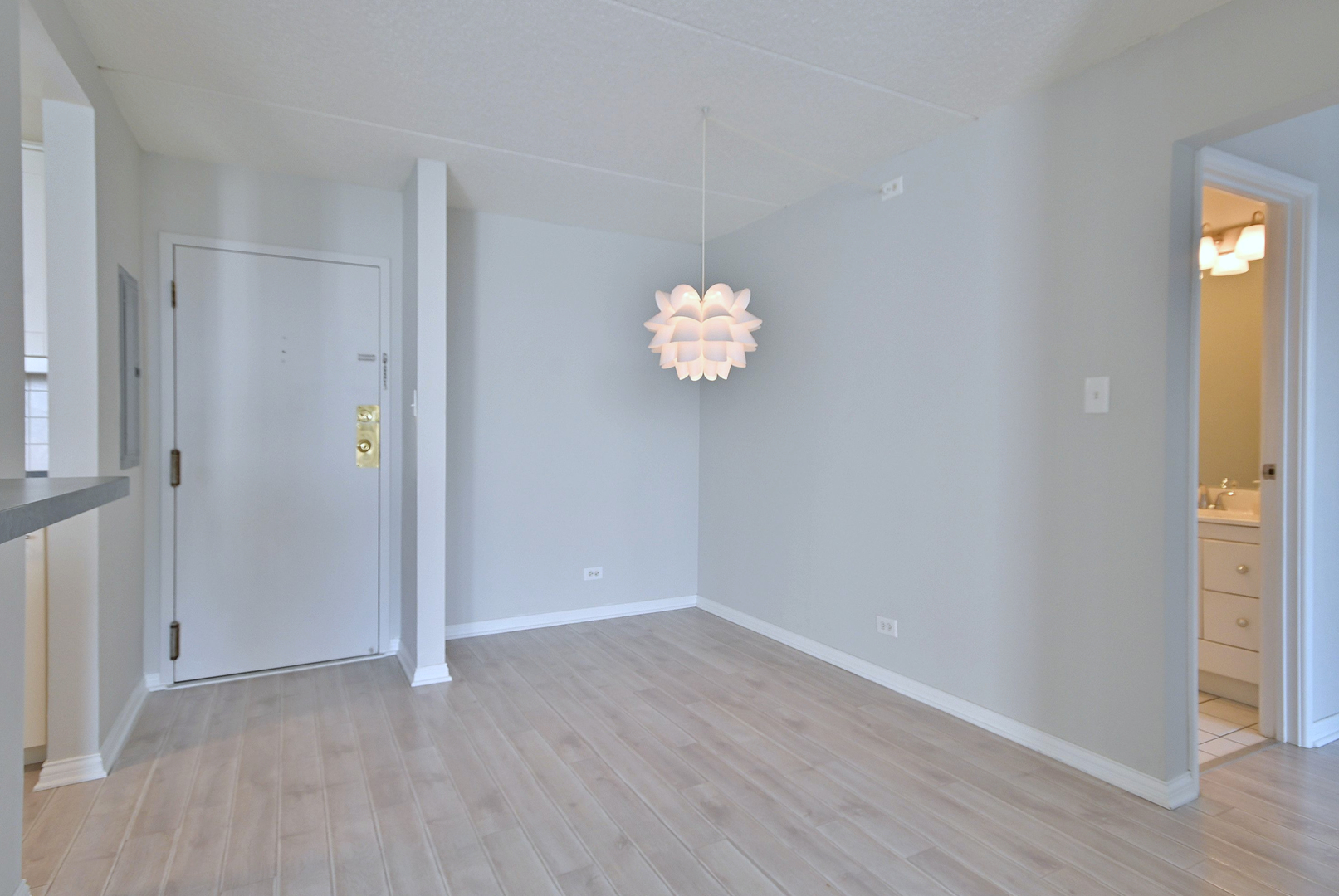 2015 S Finley Road #903, Lombard, IL 60148